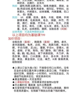 广州SM可重可轻